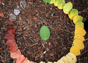 Tudo passa. Tudo é Impermanente