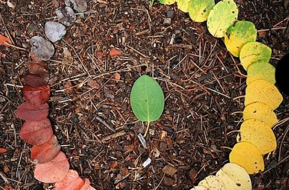 Tudo passa. Tudo é Impermanente